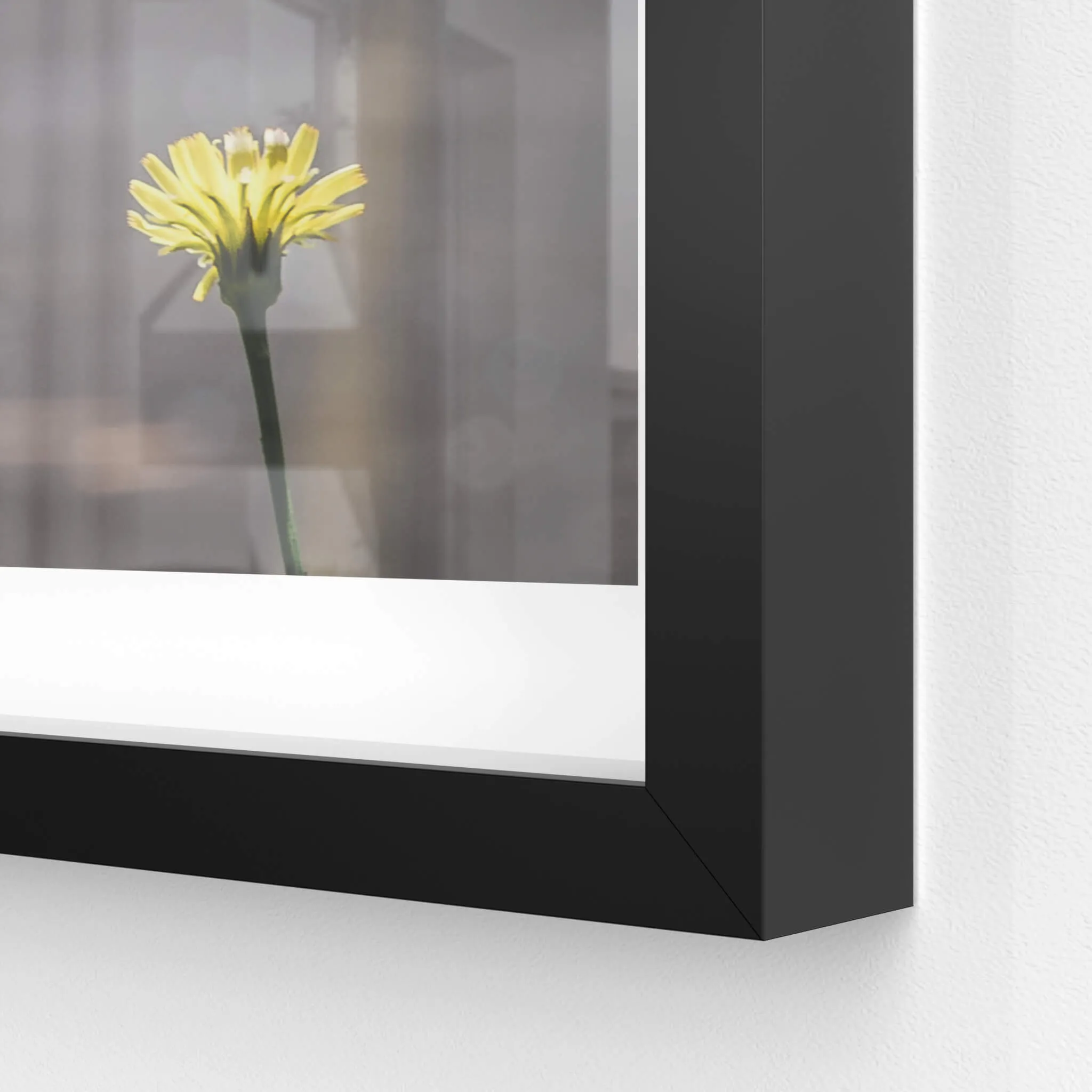 Flower | Macquarie Boys Technology High