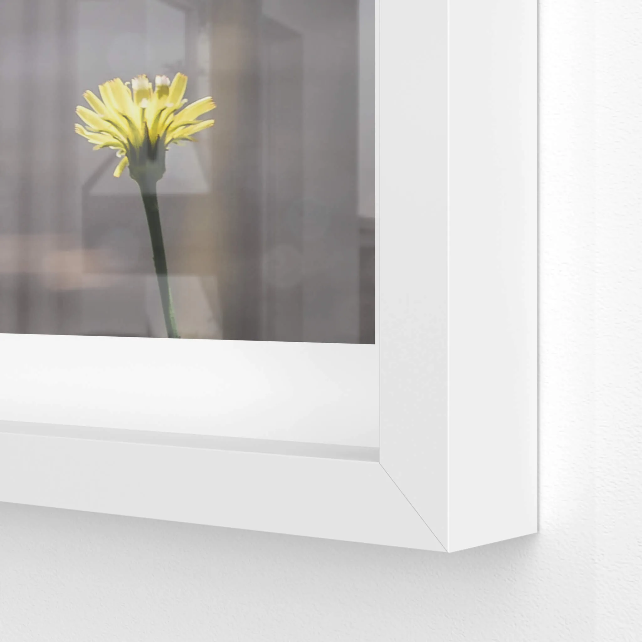 Flower | Macquarie Boys Technology High