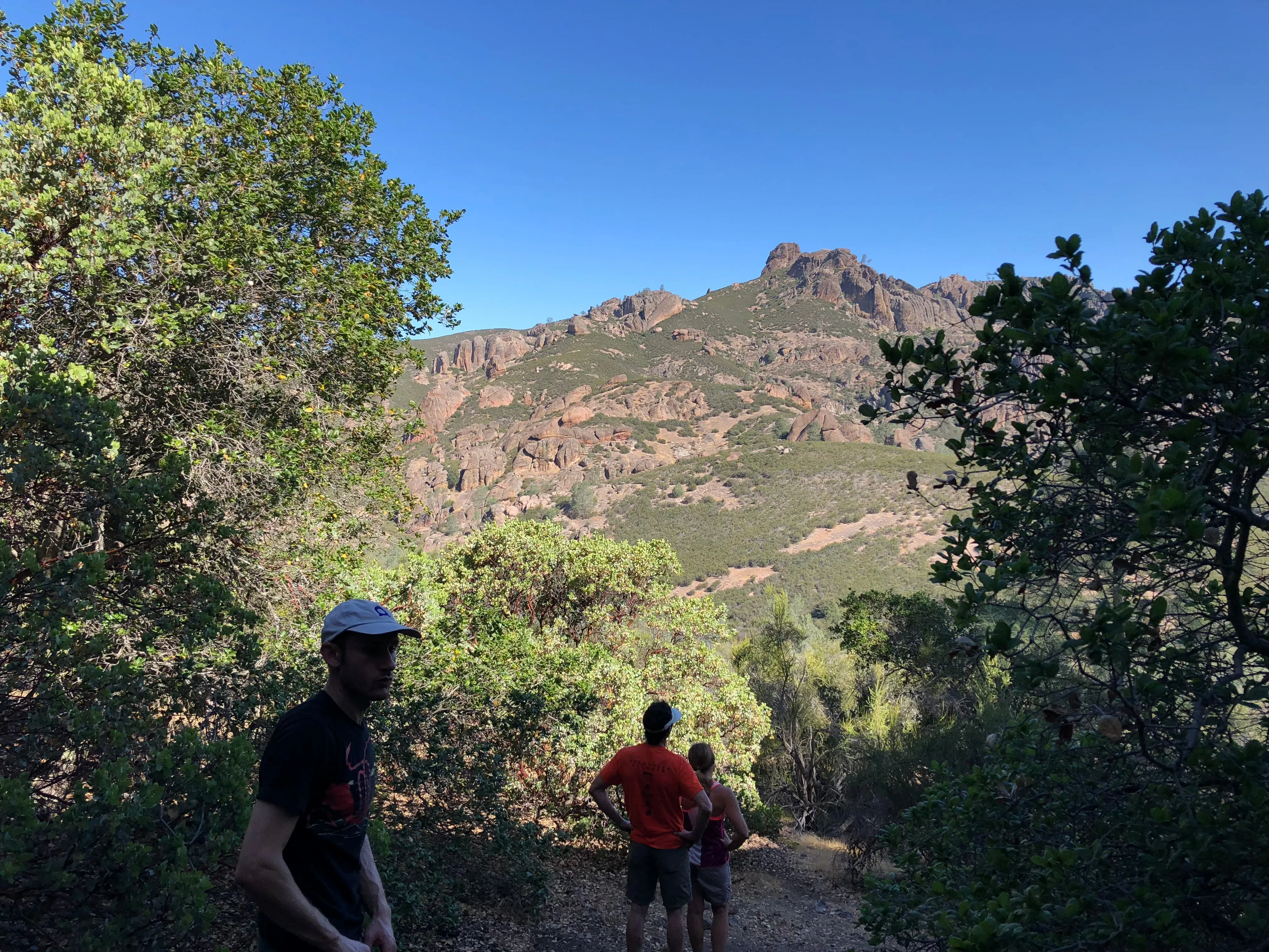 Pinnacles Climbing Weekend
